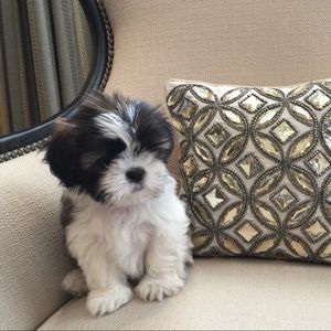 Meet your Posher, Karen